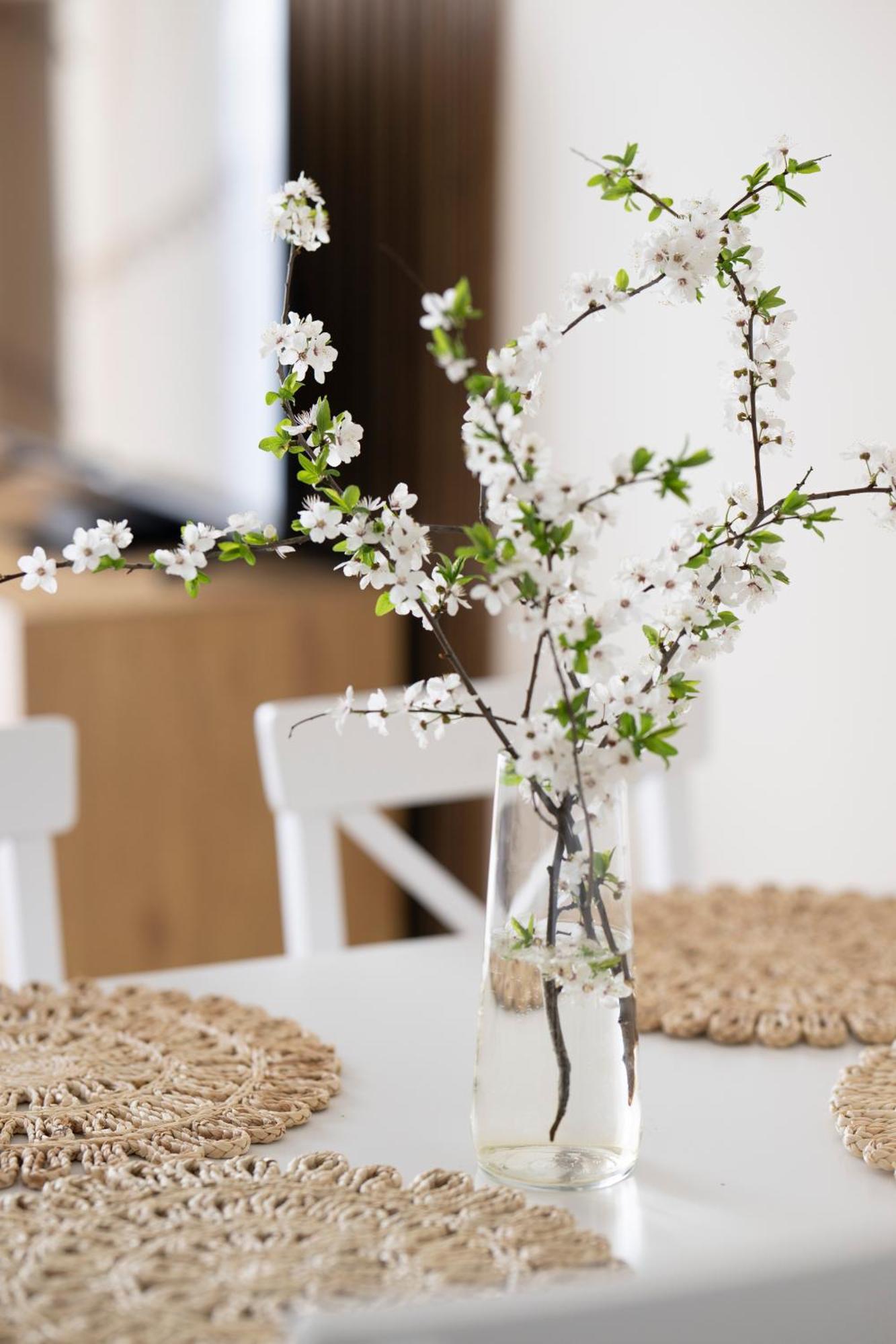 Boho Apartmán *