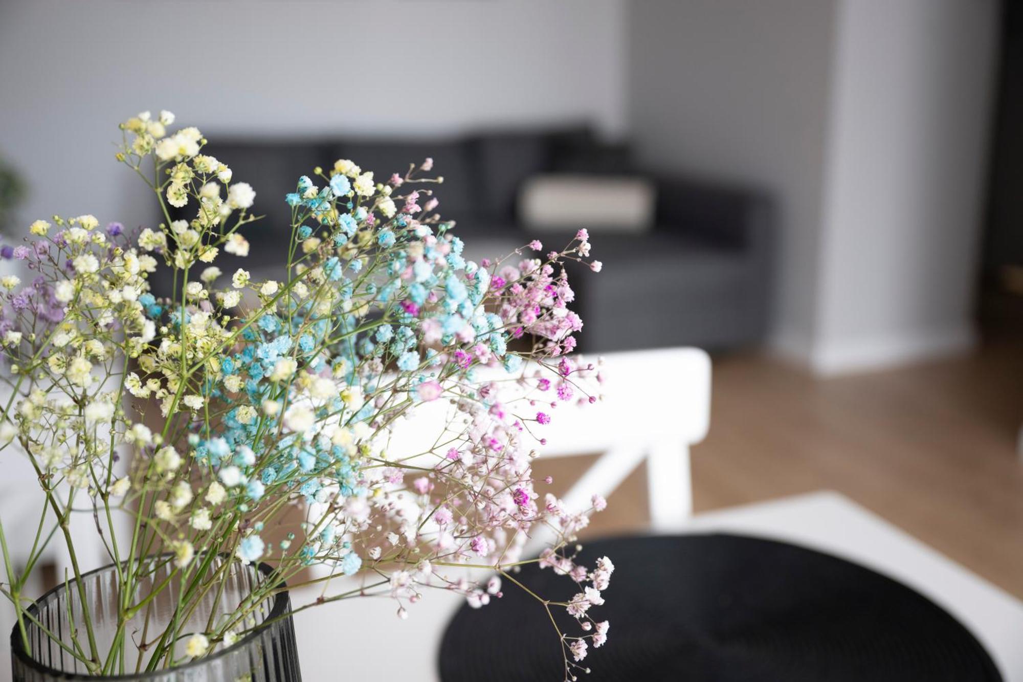 Boho Apartment Gdansk